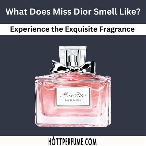 christian dior perfume model|what does miss Dior smell like.